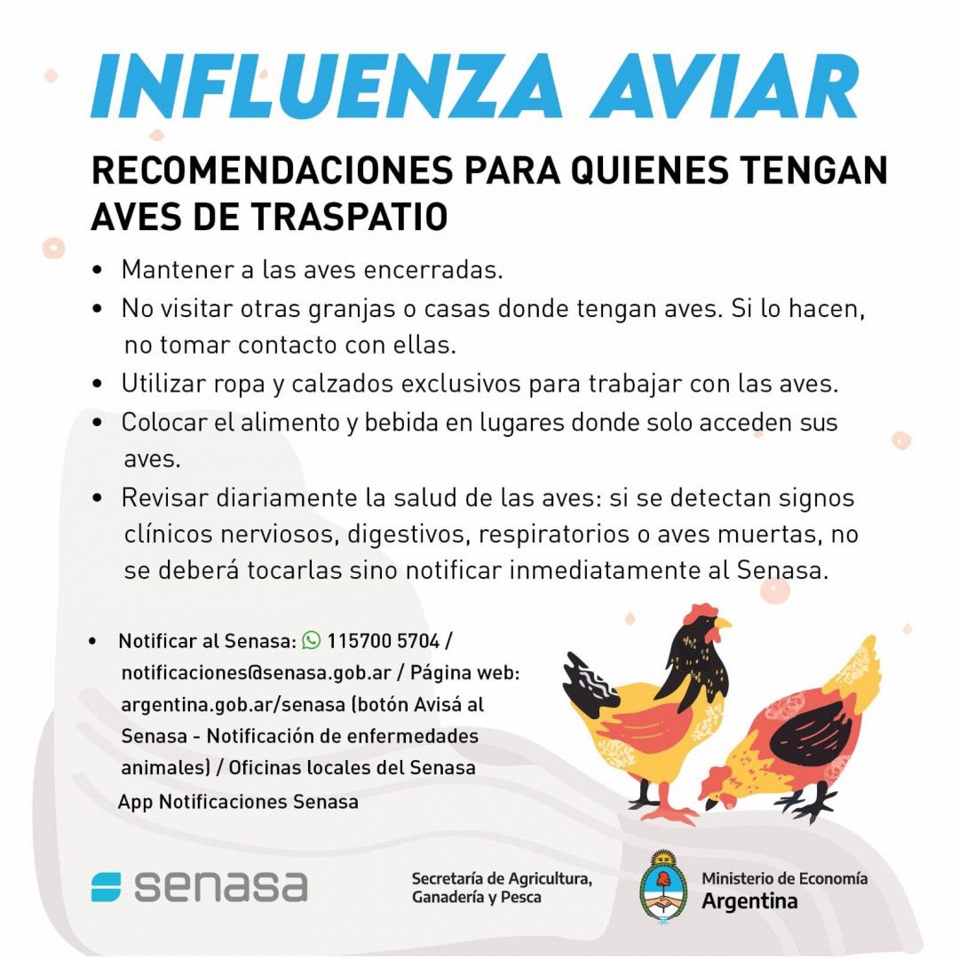 Situación Epidemiológica de la Influenza Aviar en la Argentina